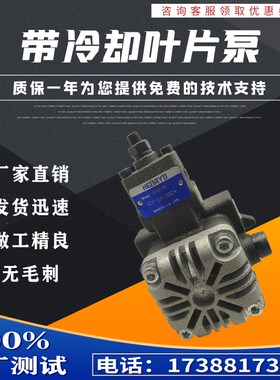 变量叶片泵VPM-SF-30CA带冷却VDP/VDF-SF-20CA叶片泵VPM-SF-40CA