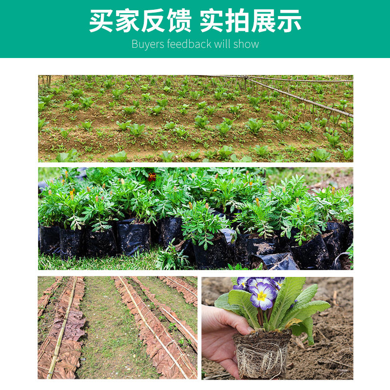 营养钵塑料育苗杯育苗盆袋养营杯苗袋一次性花盆营养育黑色加厚大