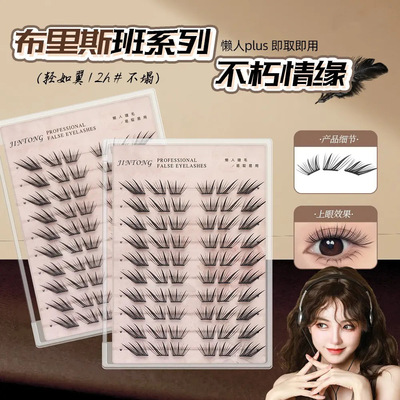 【下单立减50】不朽情缘假睫毛布里斯班小薄片新手单簇分段式BW