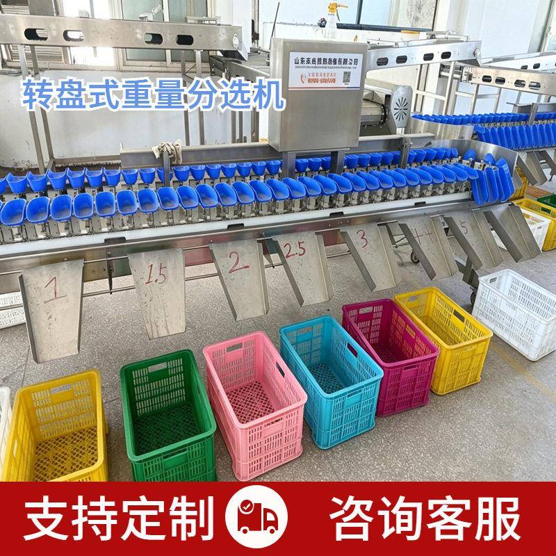 大中小料盒式分选机果蔬肉禽类生蚝全自动海鲜螃蟹重量称重分选机