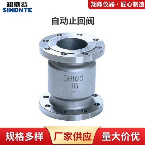 国标自动止回阀H42W-16P向升降式止回阀304不锈钢法兰止回阀