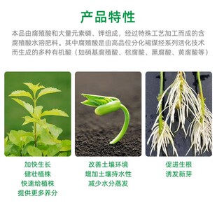 肥光园水力腐殖酸动溶国料花卉苗木草坪磷钾肥促根茎发达叶面肥