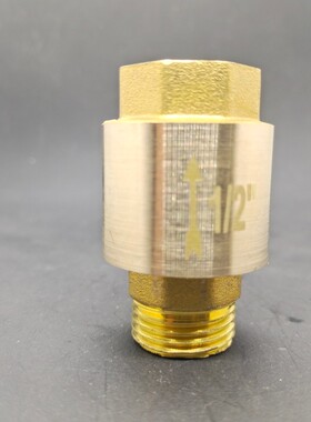 全铜内外丝止回阀单向阀止逆阀立式弹簧止水阀水表空转4分6分1
