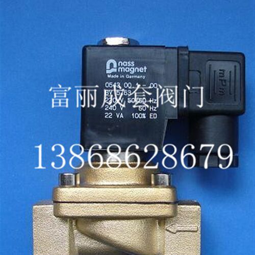 德国耐斯NASS电磁阀0543 00.1 00BV5763黄铜电磁阀113-030-0035