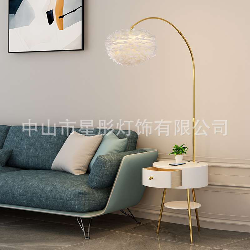 跨境羽毛落地灯北欧风客厅沙发边几卧室床头柜置物一体台灯可调光