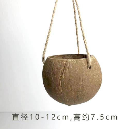天然椰子壳悬挂花盆创意家居