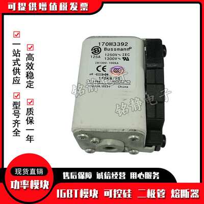 170M3458 170M3459 170M3460 170M3461巴斯曼熔断器170M3462