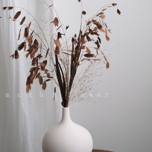 适合卧室摆的干花疏影花束客厅摆设永生花高级感装饰真花风干天然