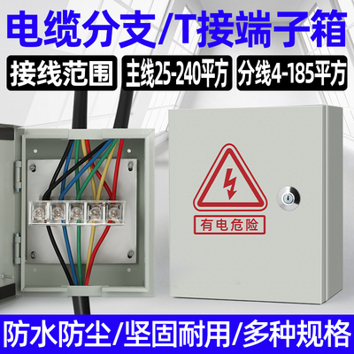电缆分线箱接线主线6-25支线4-16平方电流150A分支T接箱明装分支