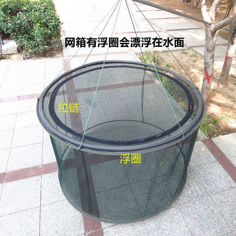 锦鲤养殖网箱折叠漂浮网箱鱼护病鱼隔离网箱可折叠鱼护折叠网箱