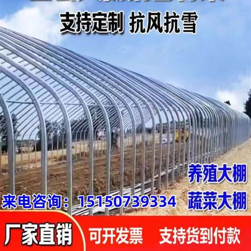 大棚骨架全套养殖大棚种植大棚温室全套养鸡羊猪牛棚蔬菜大棚钢管