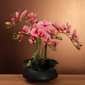 蝴蝶兰花真摆假仿花艺套装家居客厅电视柜餐桌插花摆设装饰花花件
