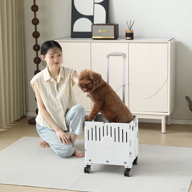 宠物推车中小型犬轻便可折迪泰叠出基猫咪遛狗外柯轻便手推代步车