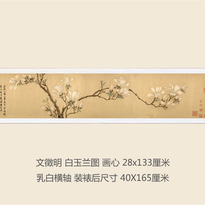 明文徵明白玉兰图卷轴挂画花鸟画古画复制品鸟名画真迹书房装饰画