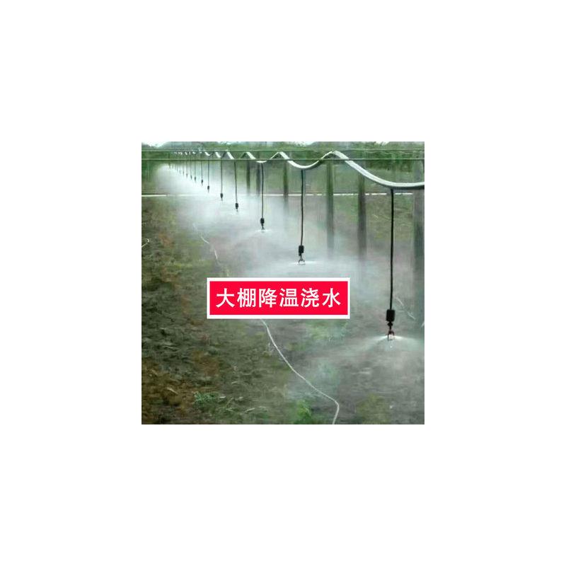 大棚倒挂雾化喷头吊喷套装浇花浇菜喷雾加湿喷灌系统养殖降温洒水