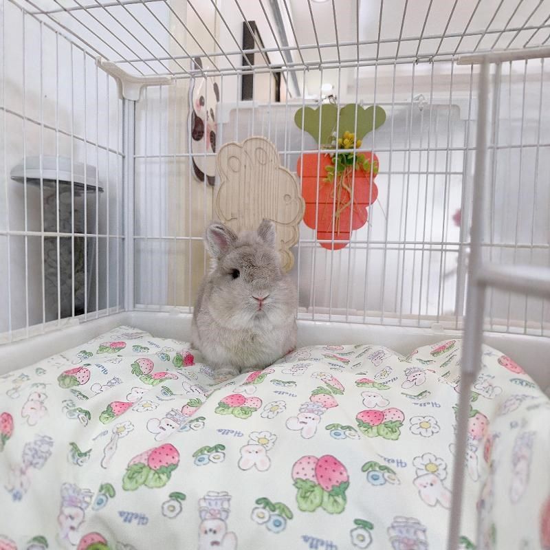 迷宠舍兔兔四季通用防水趴趴垫厚垫子冰垫保暖垫兔笼垫子软垫睡垫,宠物/宠物食品及用品,兔兔专用窝,淘宝优惠券,粉丝福利购,淘宝优惠卷