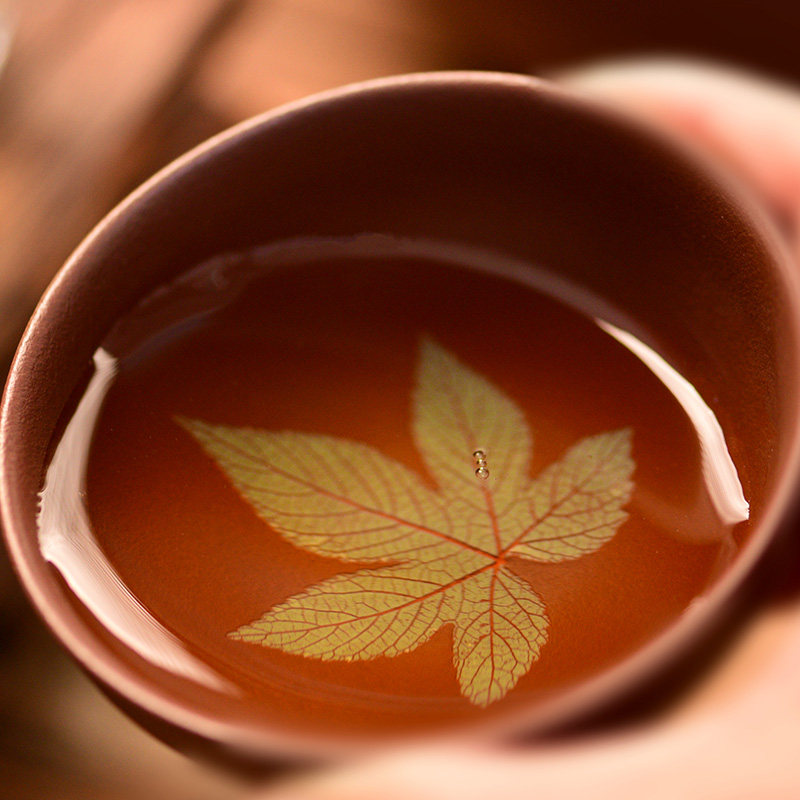 天福茗茶茶具许进财枫叶杯朱泥紫砂青白玉单杯主人杯茶杯约90ml