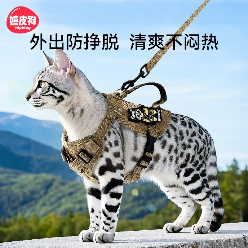 猫咪牵引绳防挣脱外出专用溜猫绳子遛猫不勒脖小猫胸背带背心缅因,宠物/宠物食品及用品,猫牵引绳,淘宝优惠券,粉丝福利购,淘宝优惠卷