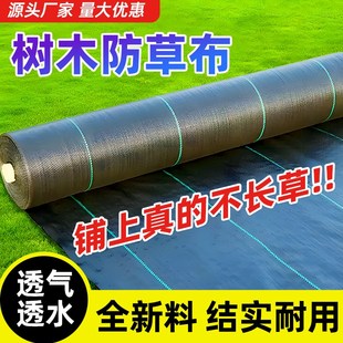 树木除草布透气防草布黑色加厚透气种菜防杂草布遮草布土地防长草