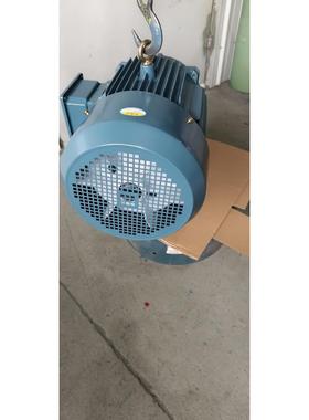 厂家直销YE311W三相异步电机2极交流电机马达减速机工业全铜