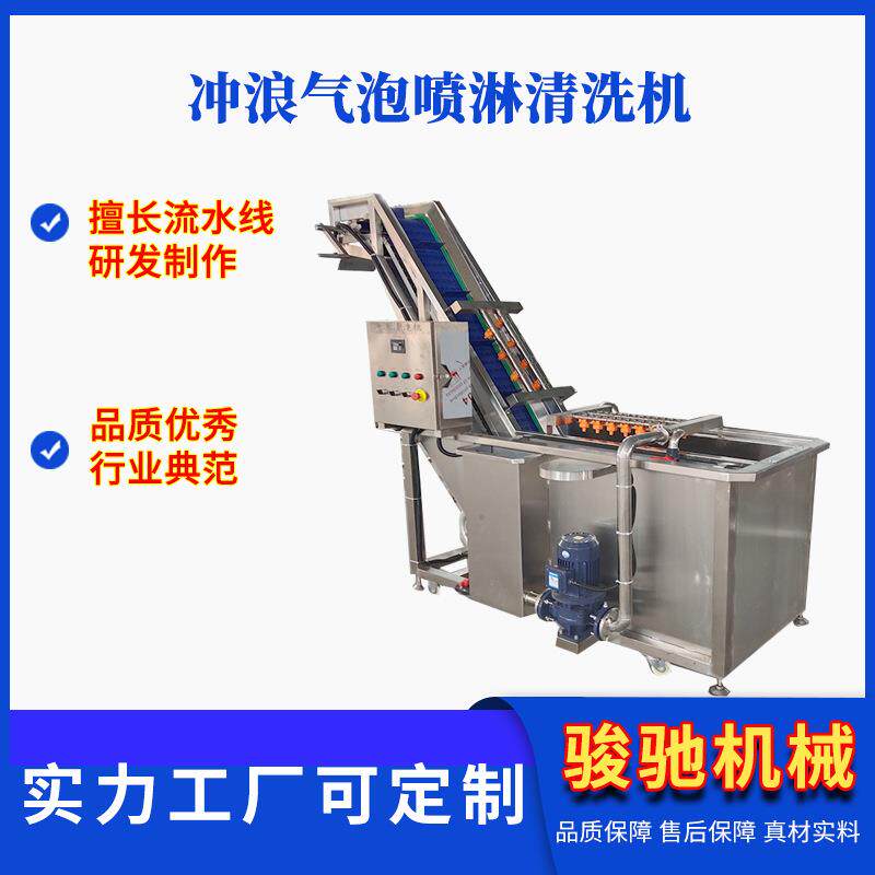 连续式冲浪清洗机杏子山楂蓝莓净菜加工设备全自动洗菜机