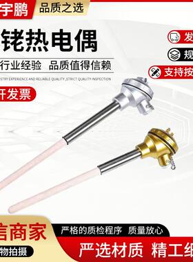 WRP130刚玉管陶瓷热电偶1600℃贵金属耐高温热电偶S型铂铑热电偶