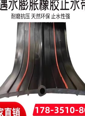 P型建筑隧道地铁底片橡胶止水带中埋式651型可卸外贴钢边式652型