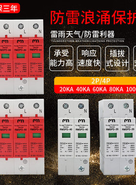 上海人民浪涌保护器2p4p40KA60KA电源防雷器家用220v电涌保护器