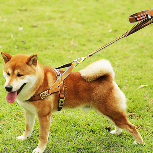 多尼斯Dogness狗狗胸背带可调节背心式牵引绳防爆冲大中小型