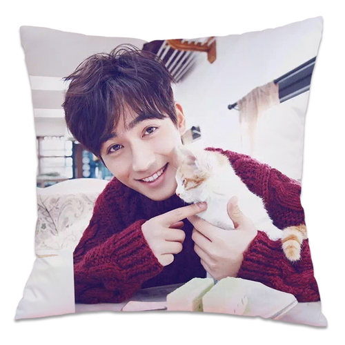 朱一龙抱枕吴邪重启极海听雷双面订制周边人形玩偶靠枕头礼物