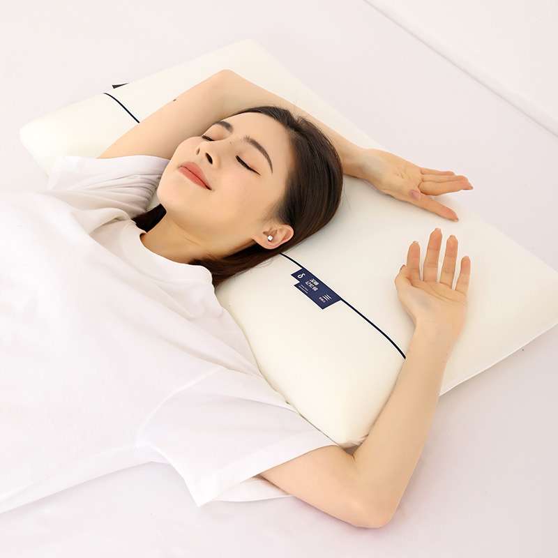 星级酒店某朵枕芯枕头记忆深睡眠慢回弹记忆枕护颈床上用品款侧睡