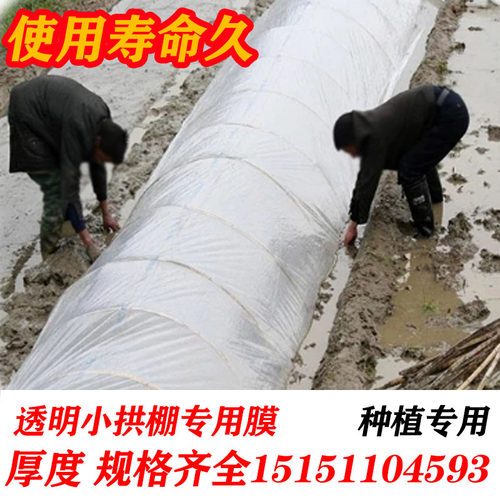 白色塑料薄膜小拱棚保温蔬菜大棚膜地膜防水塑料薄膜公路防护膜