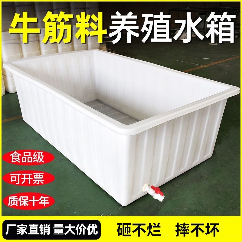 超大号加厚牛筋塑料水箱长方形水桶水产养殖方桶养鱼卖鱼牛筋浅盆