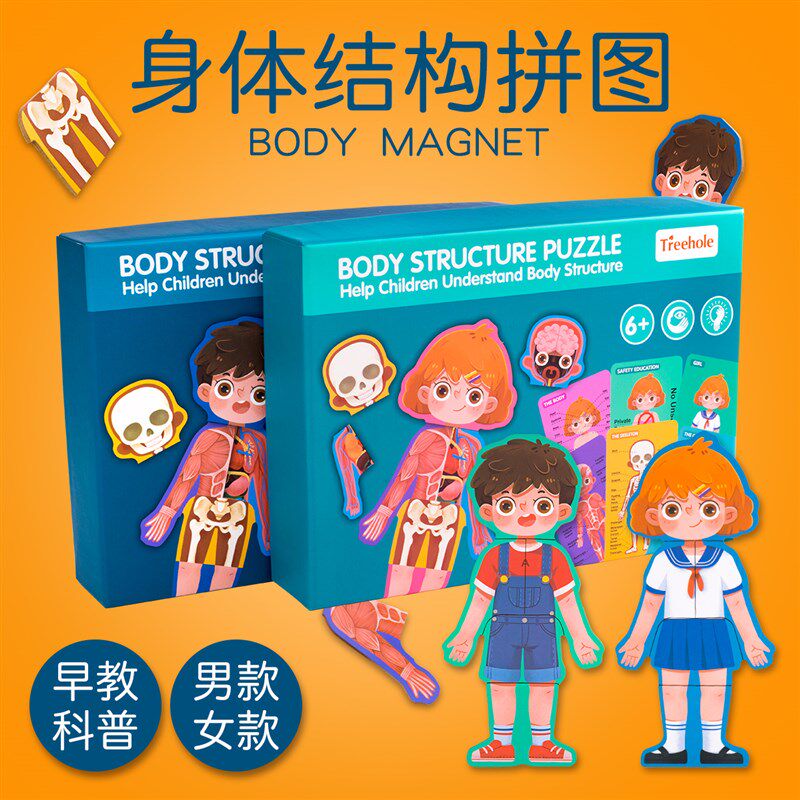 宝宝益智磁性拼图玩具幼儿园儿童身体结构男女孩早教认知2-3-4岁
