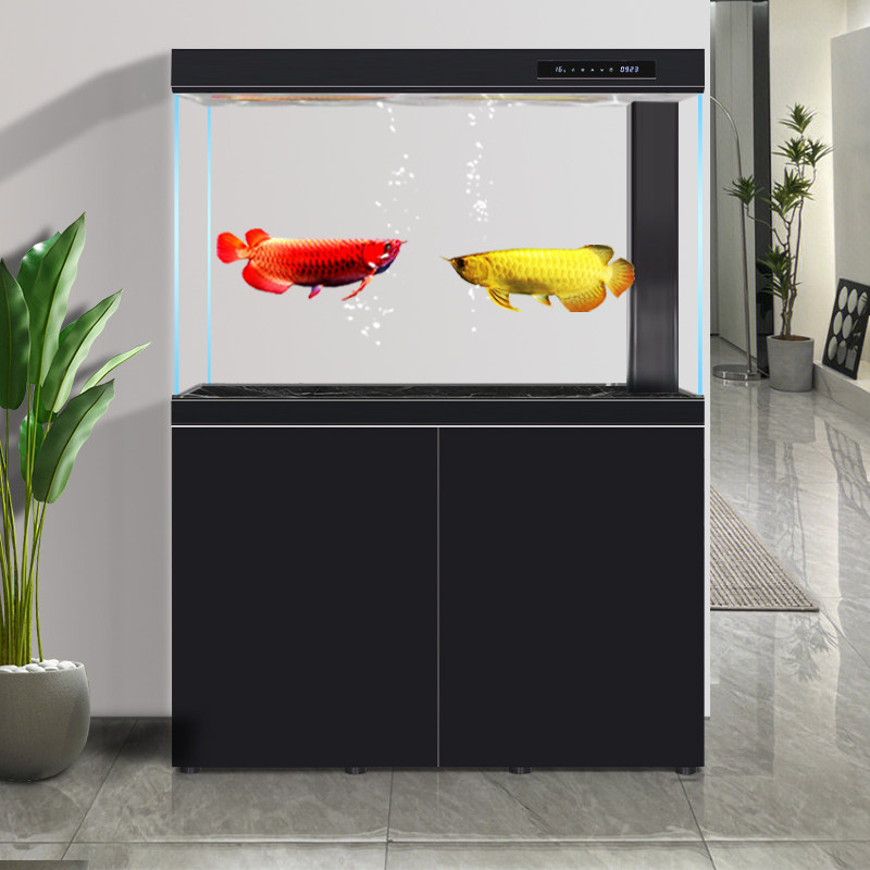 红龙专用鱼缸大型水族箱超白玻璃客厅LED灯循环底过滤系统免换水,宠物/宠物食品及用品,底柜/落地缸,淘宝优惠券,粉丝福利购,淘宝优惠卷
