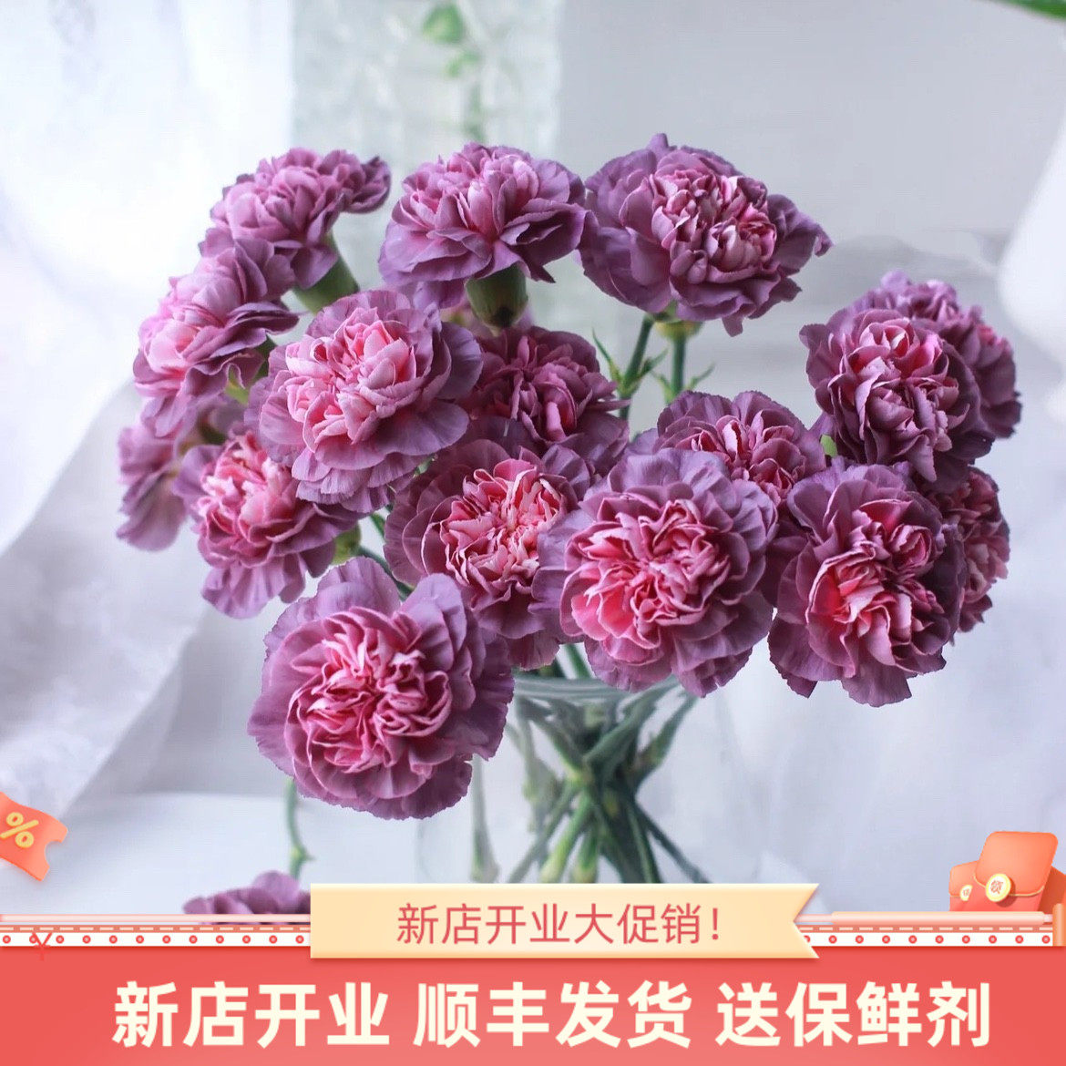 野马康乃馨鲜花斗南直发云南基地花卉花束客厅摆设鲜切花花瓶插花
