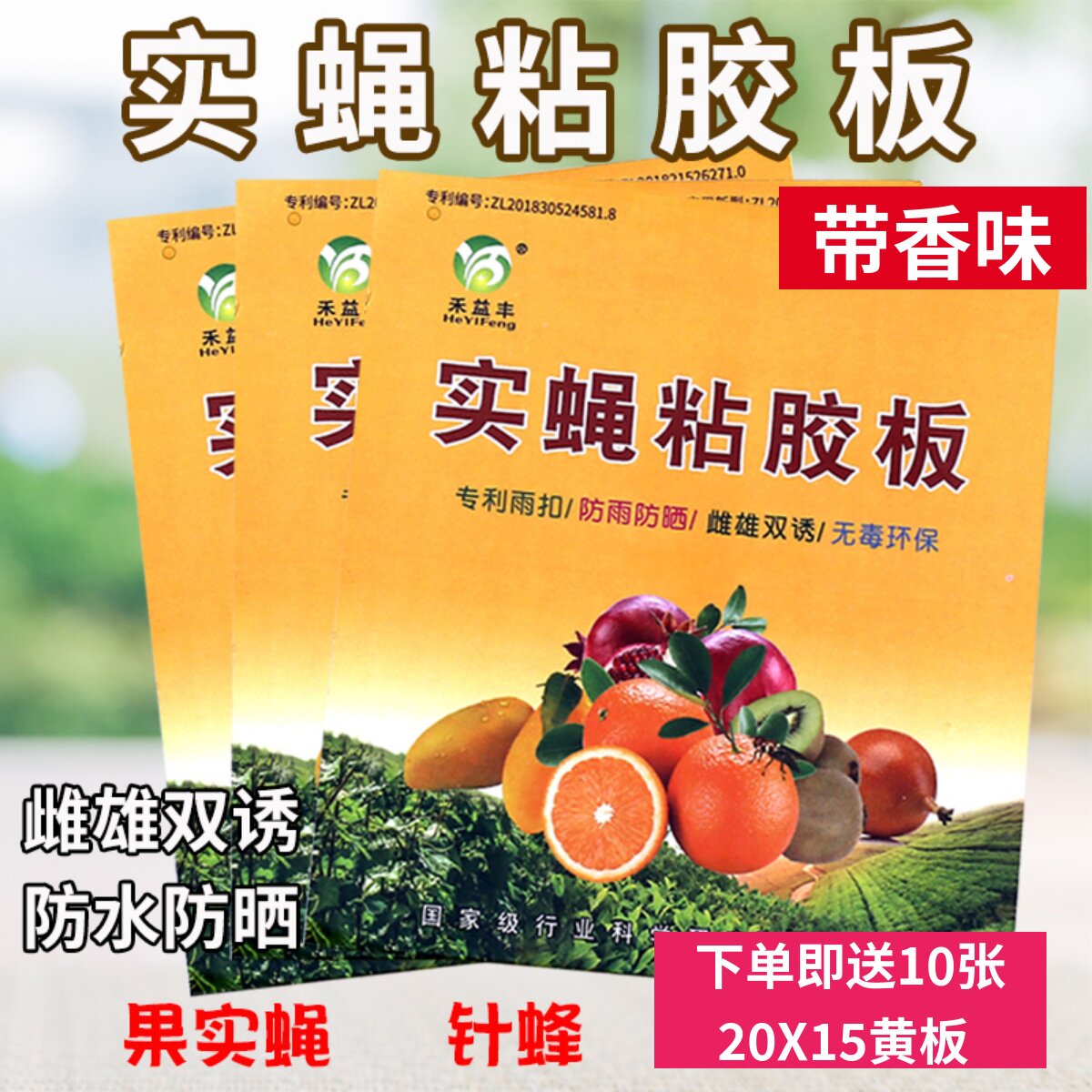 瓜果实蝇粘胶板果蝇实蝇贴针蜂粘虫板农用果园诱粘板果苍蝇诱捕器
