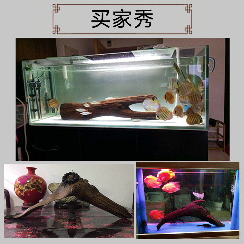 鱼缸造景沉免天然箱柚木晒龟台树桩木煮水族紫装饰小号木晒台木头