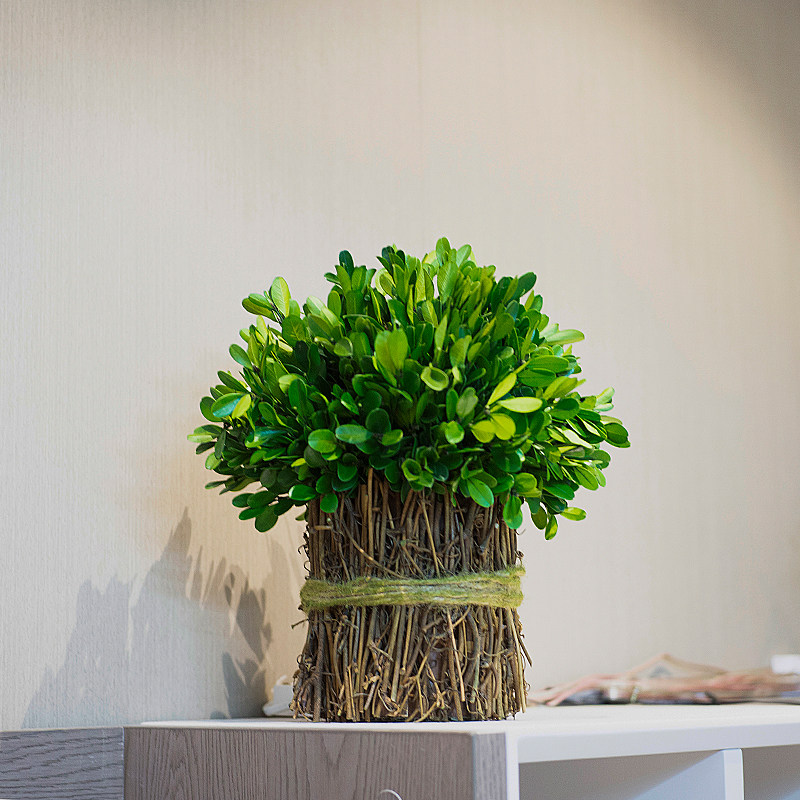 永生植植花卉室内干花客厅摆设藤条真花桌然风干天面绿物摆件装饰