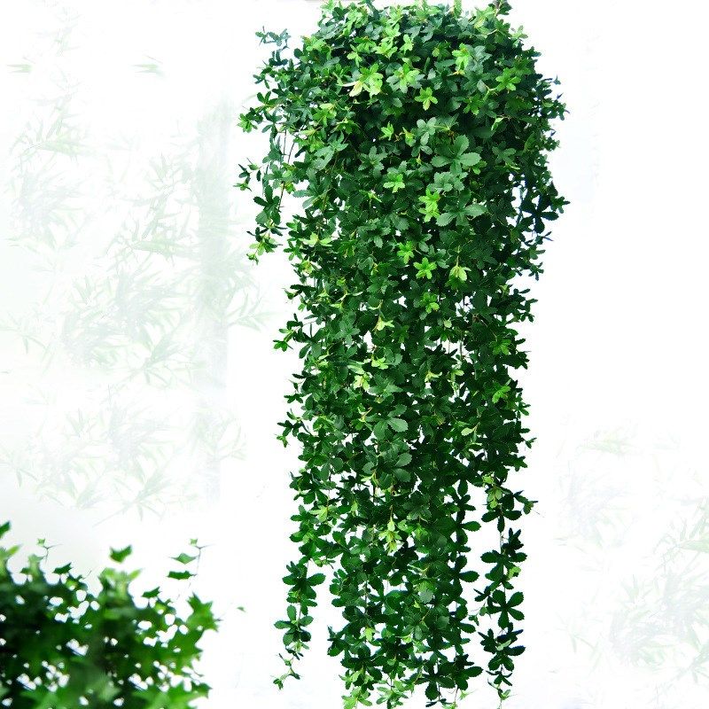 假树叶綠植招财墙物壁花藤条装饰蔓植假吊兰