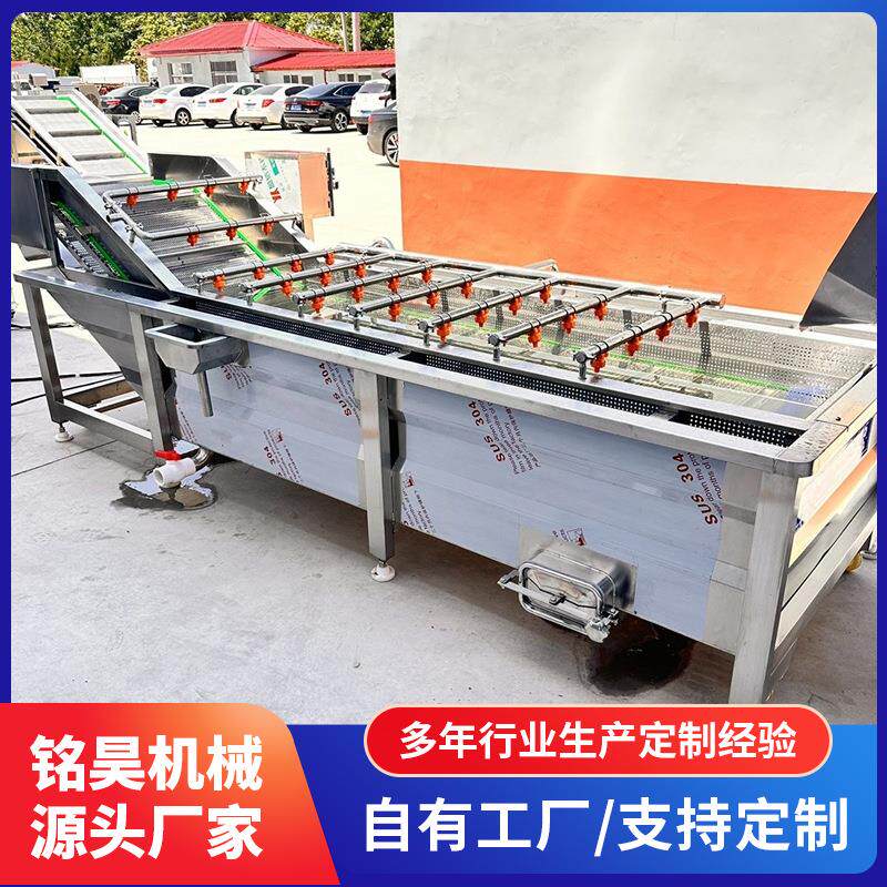 苹果西红柿气泡清洗机高压喷淋式气泡清洗机不锈钢净菜加工设备