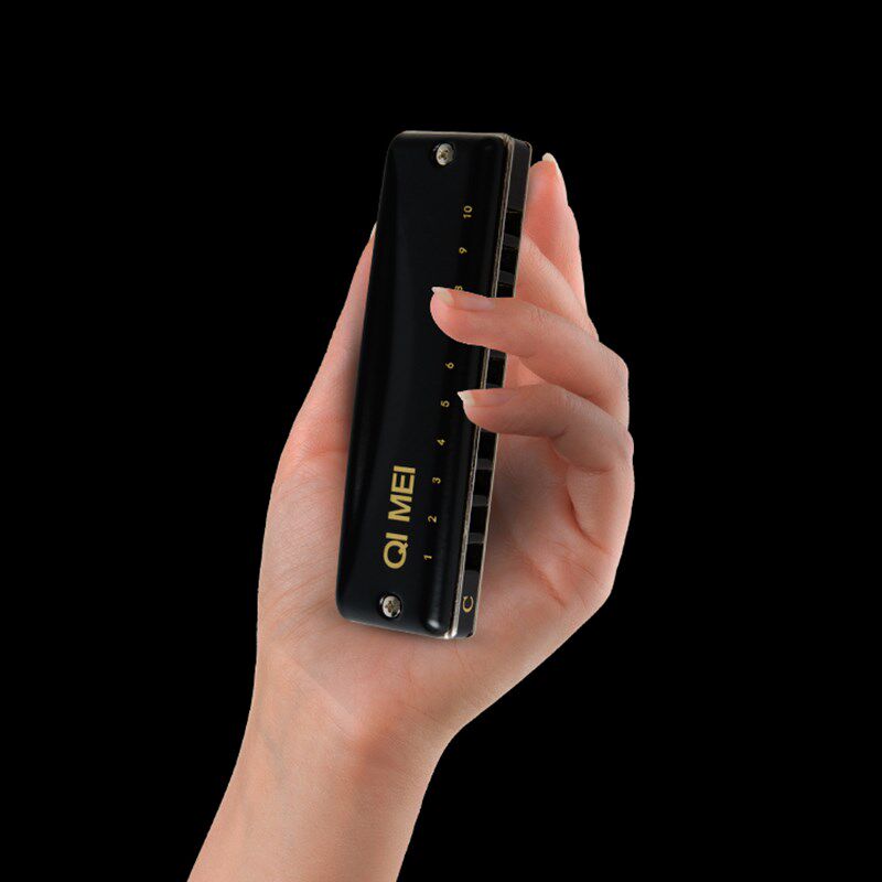 奇美黑霸王布鲁斯口琴10孔演奏版初学者学生自学蓝调专业十孔口琴