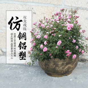 塑料圆形树脂花盆加高加厚种果树铁树专用龙缸庭院睡莲荷花养鱼缸