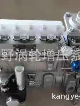 道依茨喷油泵1001620056B6AD548G11-R和13033098B6AD506A6机械