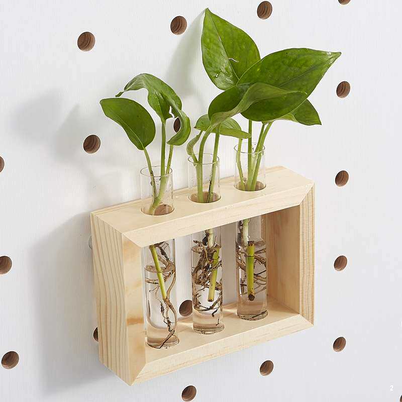 新品 15mm圆孔洞洞板配件水培绿植试管 水养植物容器实