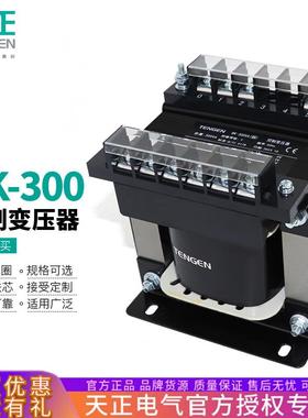 TENGEN天正BK-300VA单相控制变压器380V变220V11036V24126V
