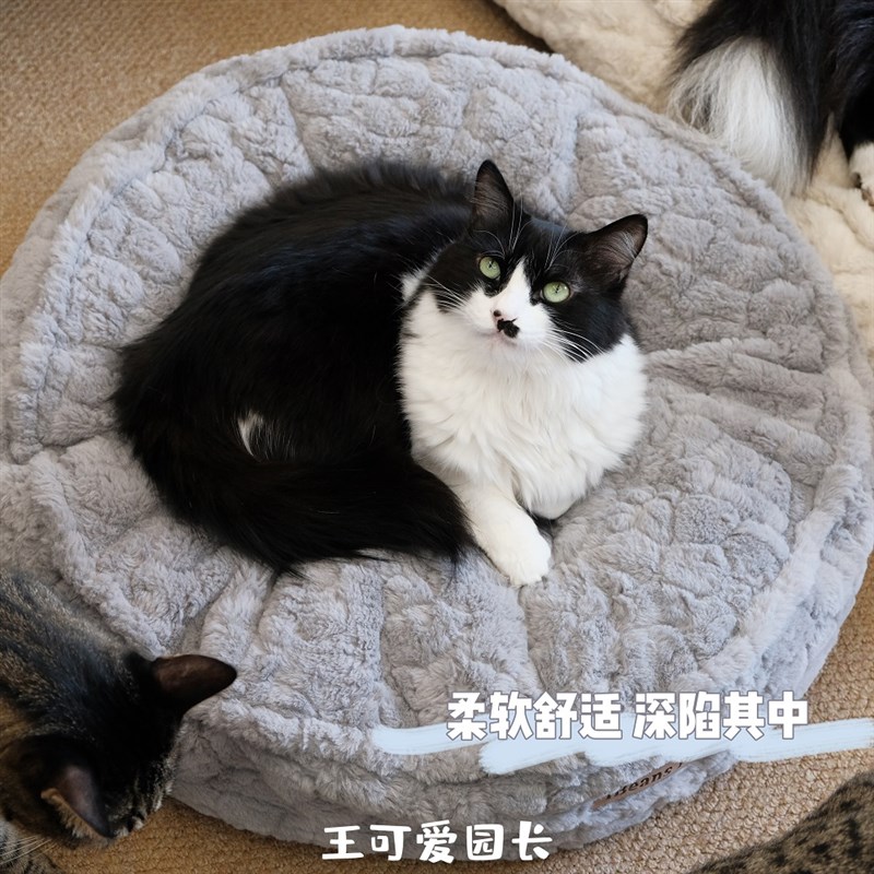 王可爱园长猫洗保暖宠物窝可拆绒饱满蓬松兔窝狗窝垫子沙发
