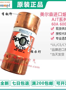 ferraz Amp-Trap熔断器AJT50 50A AJT60 60A 600V MERSEN保险管