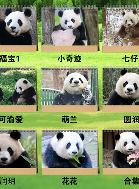 大熊猫萌兰福宝渝可渝爱圆润玥小奇迹2024年双面台历挂历日历定制