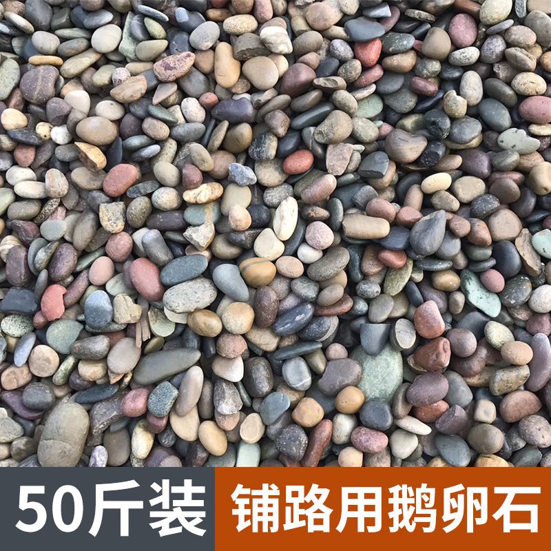 50斤铺地鹅卵石铺路大号庭院黑白灰石头原石鱼缸装饰天然鹅软暖石